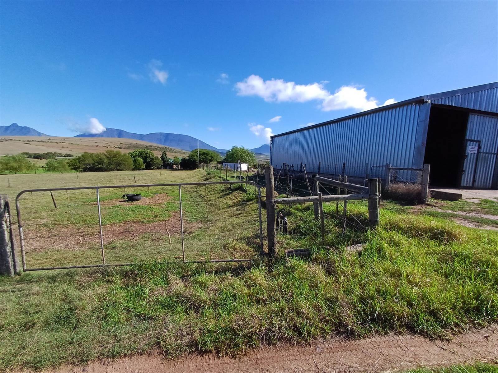1.6 ha Farm in Riversdale photo number 7