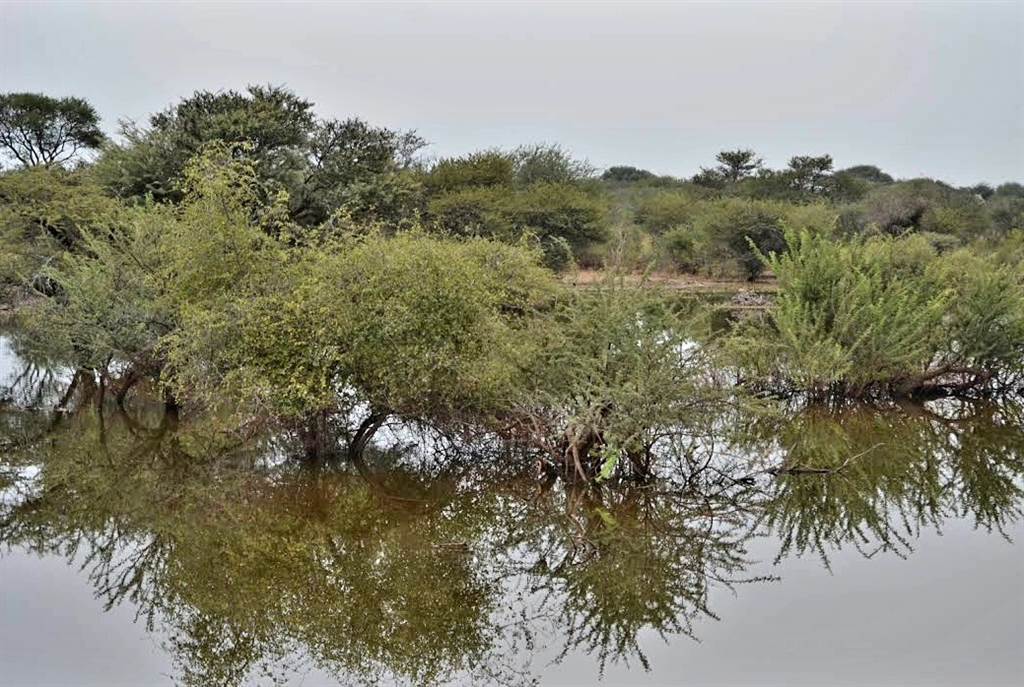 1.2 ha Land available in Thabazimbi photo number 6