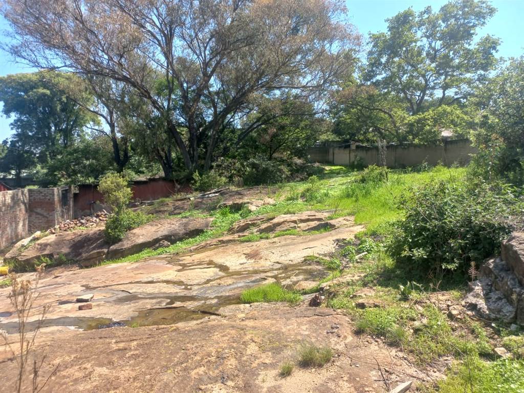 3477 m² Land available in Ferndale photo number 8