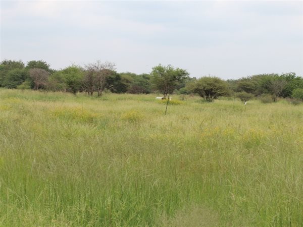 375 m² Land available in Northam