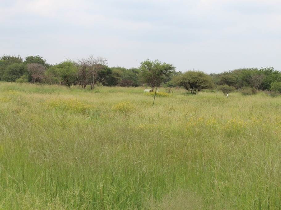 375 m² Land available in Northam photo number 1