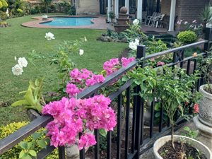 Apartment in Westville North