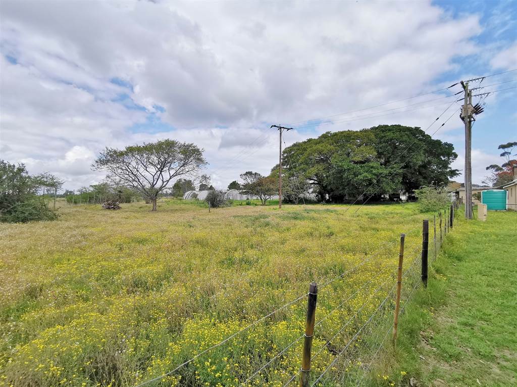 5.5 ha Farm in Grahamstown Central photo number 22