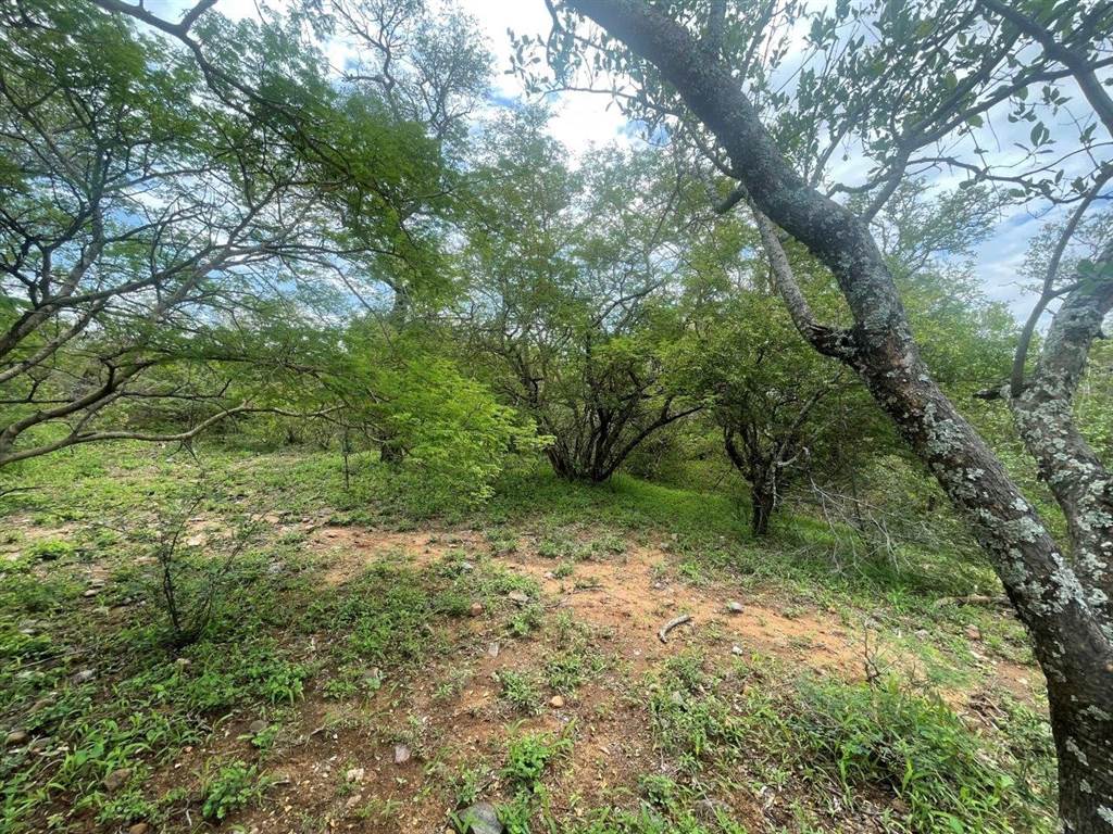3737 m² Land available in Blyde Wildlife Estate photo number 4