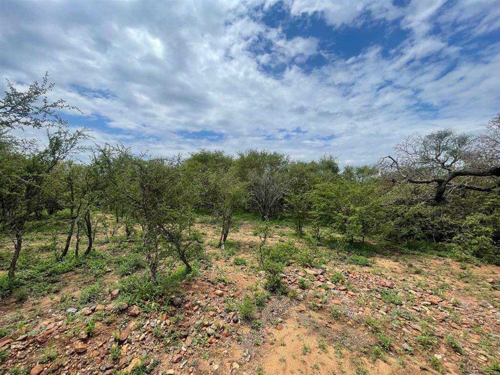 3737 m² Land available in Blyde Wildlife Estate photo number 12