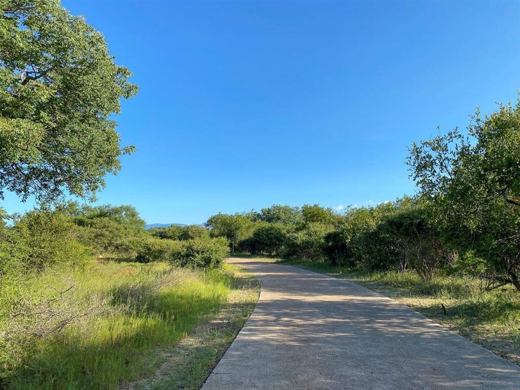 3737 m² Land available in Blyde Wildlife Estate photo number 21