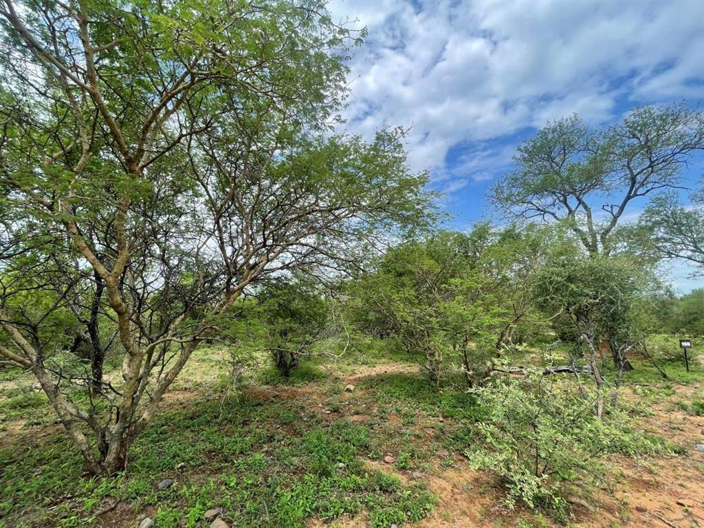 3737 m² Land available in Blyde Wildlife Estate photo number 11
