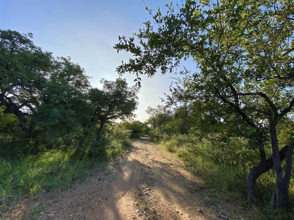 3737 m² Land available in Blyde Wildlife Estate photo number 17