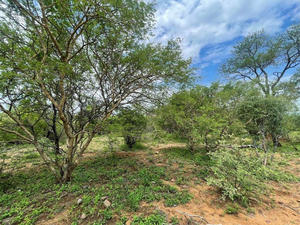 3737 m² Land available in Blyde Wildlife Estate photo number 14