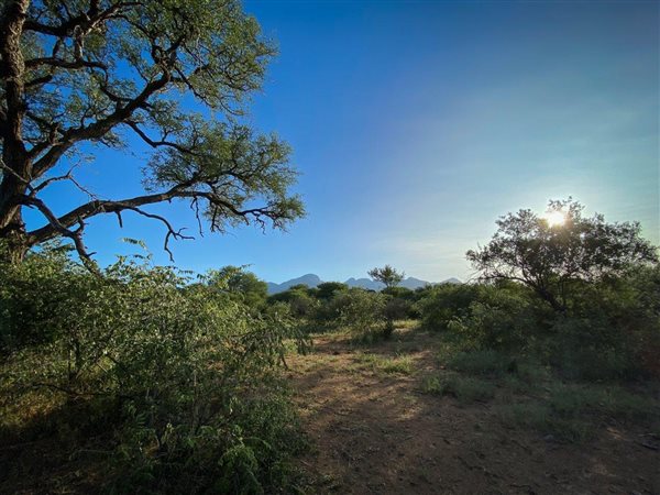 3737 m² Land available in Blyde Wildlife Estate
