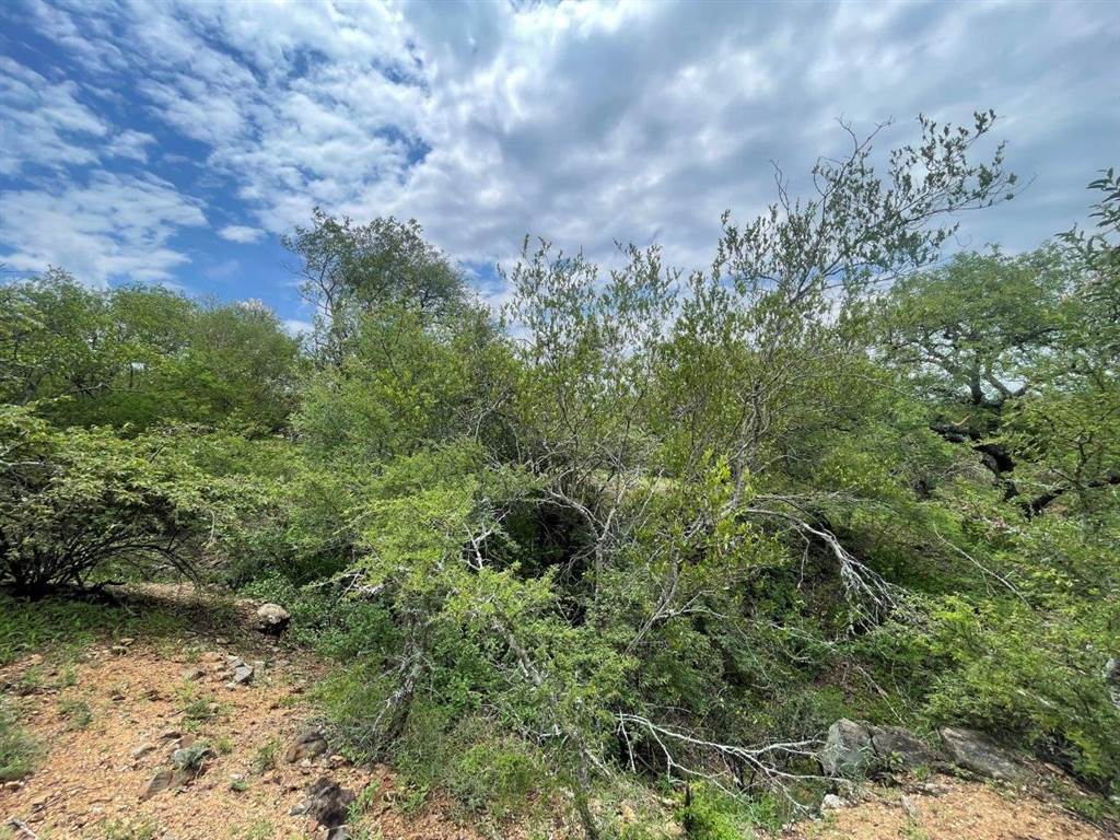 3737 m² Land available in Blyde Wildlife Estate photo number 8
