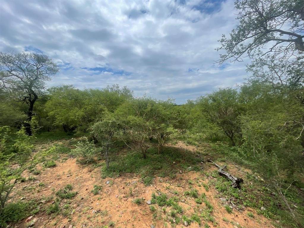 3737 m² Land available in Blyde Wildlife Estate photo number 15