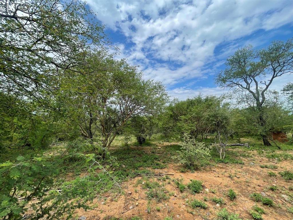 3737 m² Land available in Blyde Wildlife Estate photo number 13