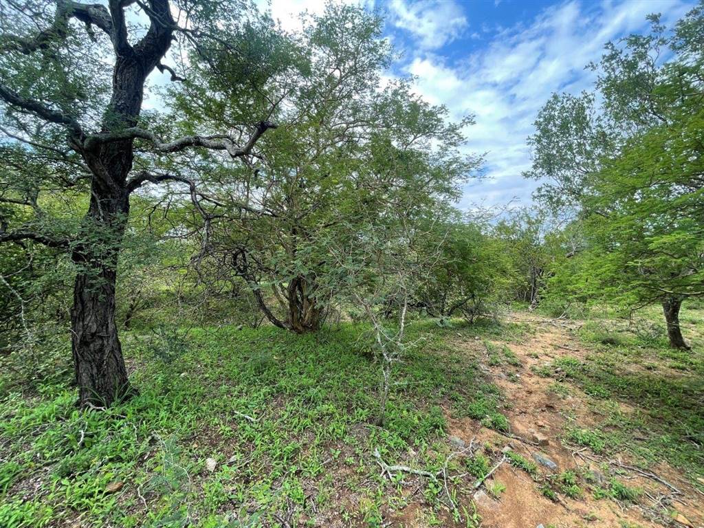 3737 m² Land available in Blyde Wildlife Estate photo number 9