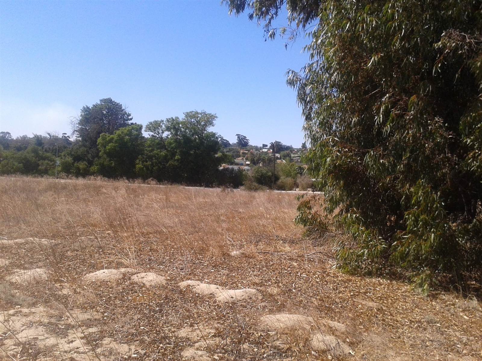 2000 m² Land available in Hopefield photo number 8