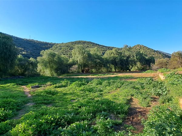 944 m² Land available in De Rust