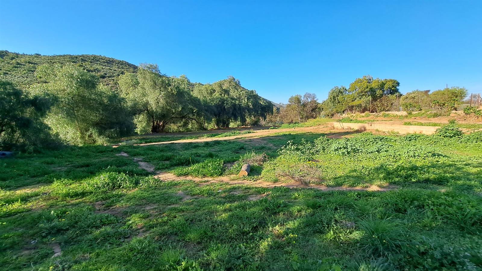 944 m² Land available in De Rust photo number 4