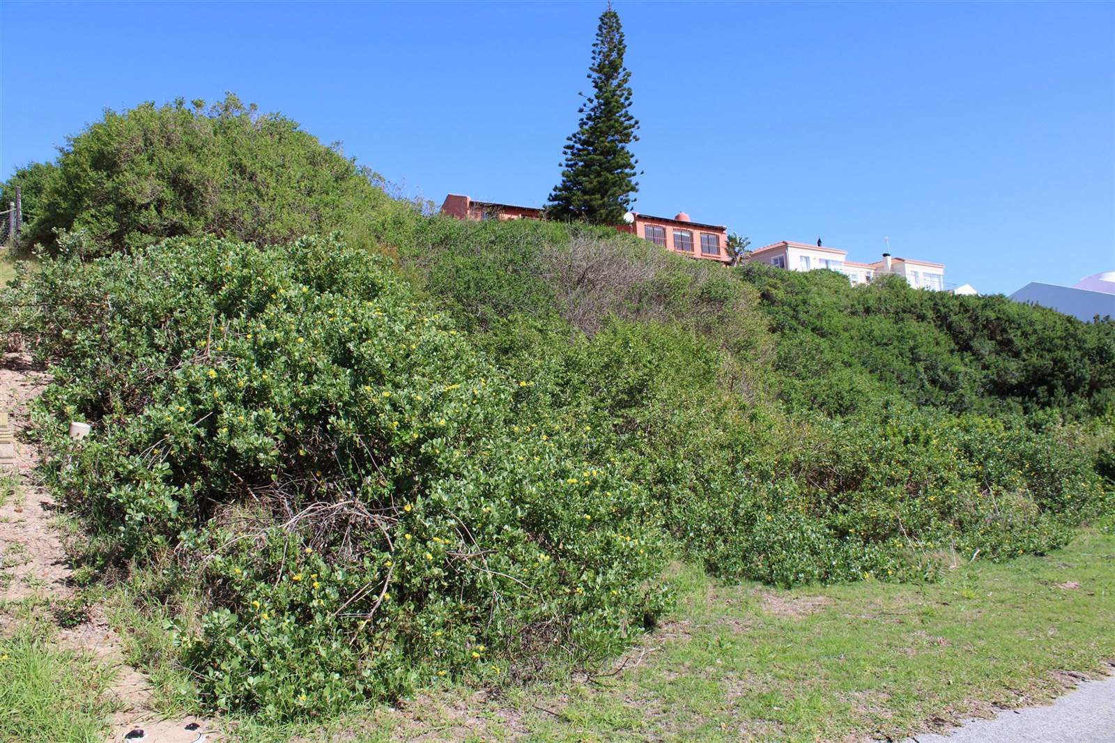 775 m² Land available in Santareme photo number 7