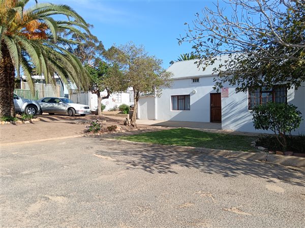 3 Bed House in Napier