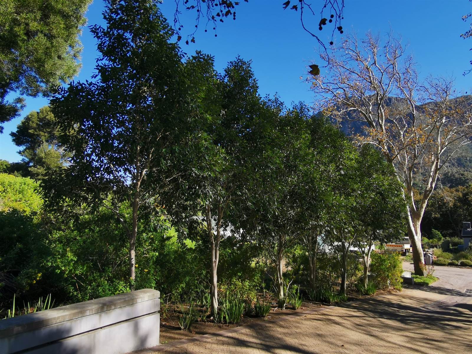 734 m² Land available in Hout Bay and surrounds photo number 8