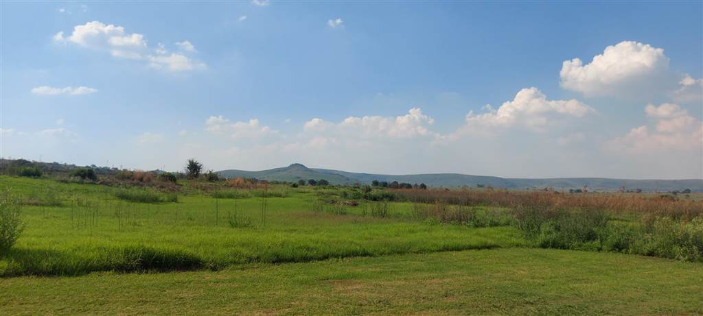 5 ha Land available in Gerhardsville photo number 5