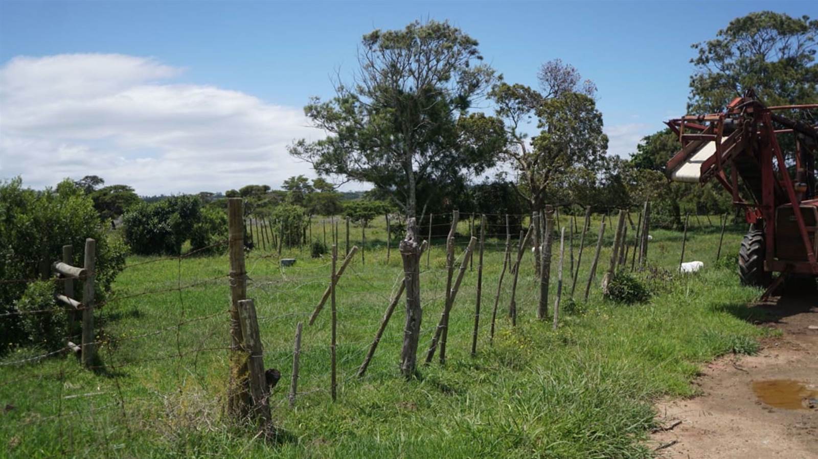 332 ha Farm in Bathurst and Surrounds photo number 8