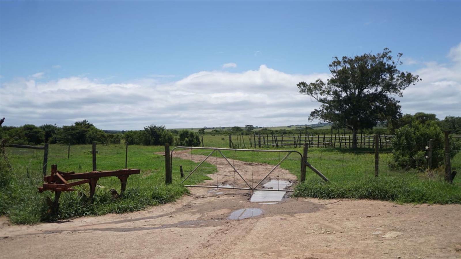332 ha Farm in Bathurst and Surrounds photo number 6