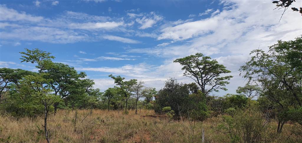 1.7 ha Land available in Mokopane photo number 7