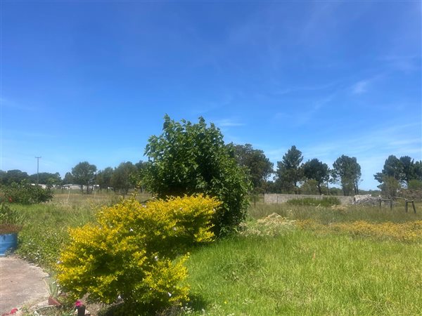 2.8 ha Land 2.8 ha Land