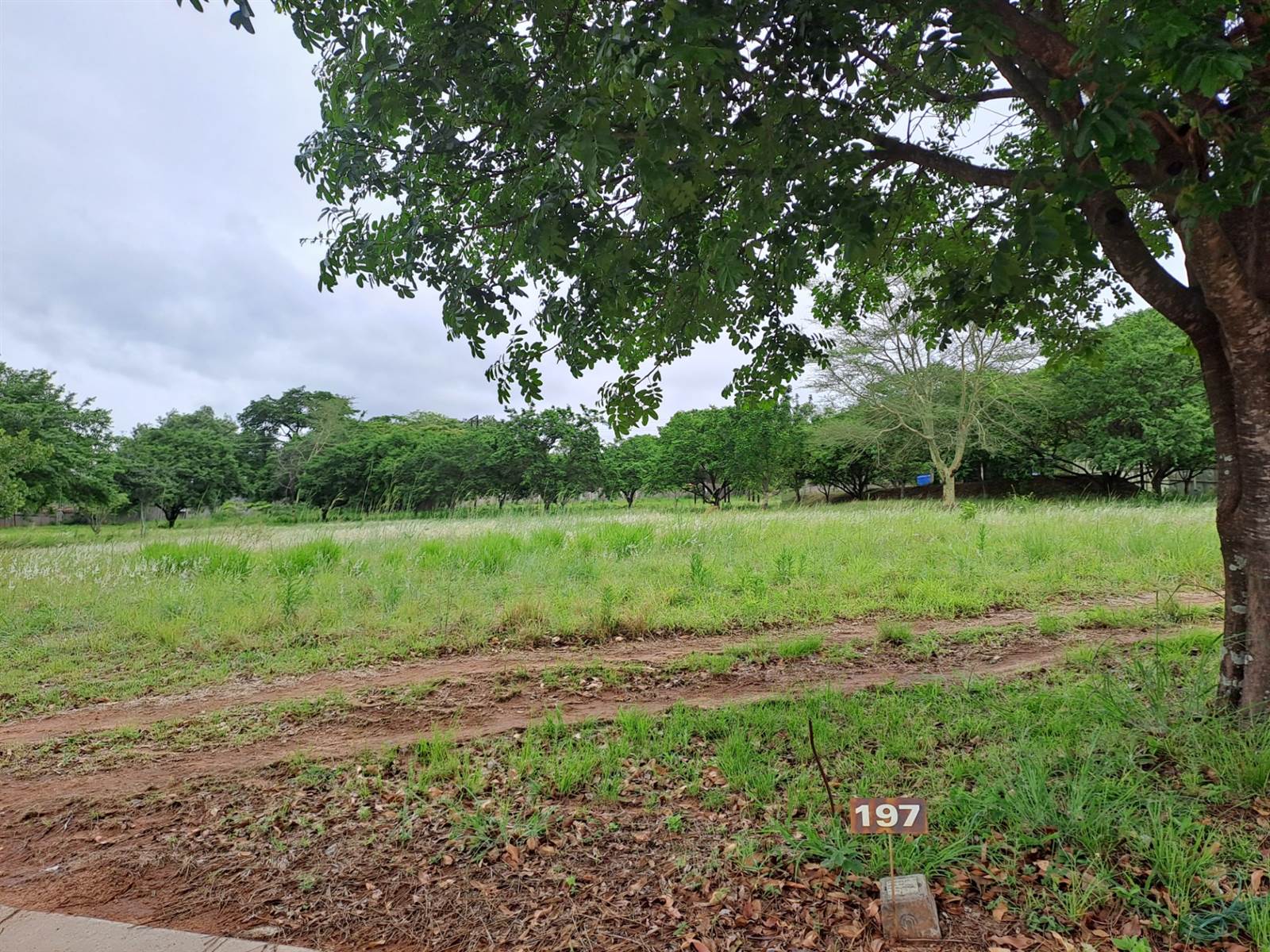 844 m² Land available in Hazyview photo number 3