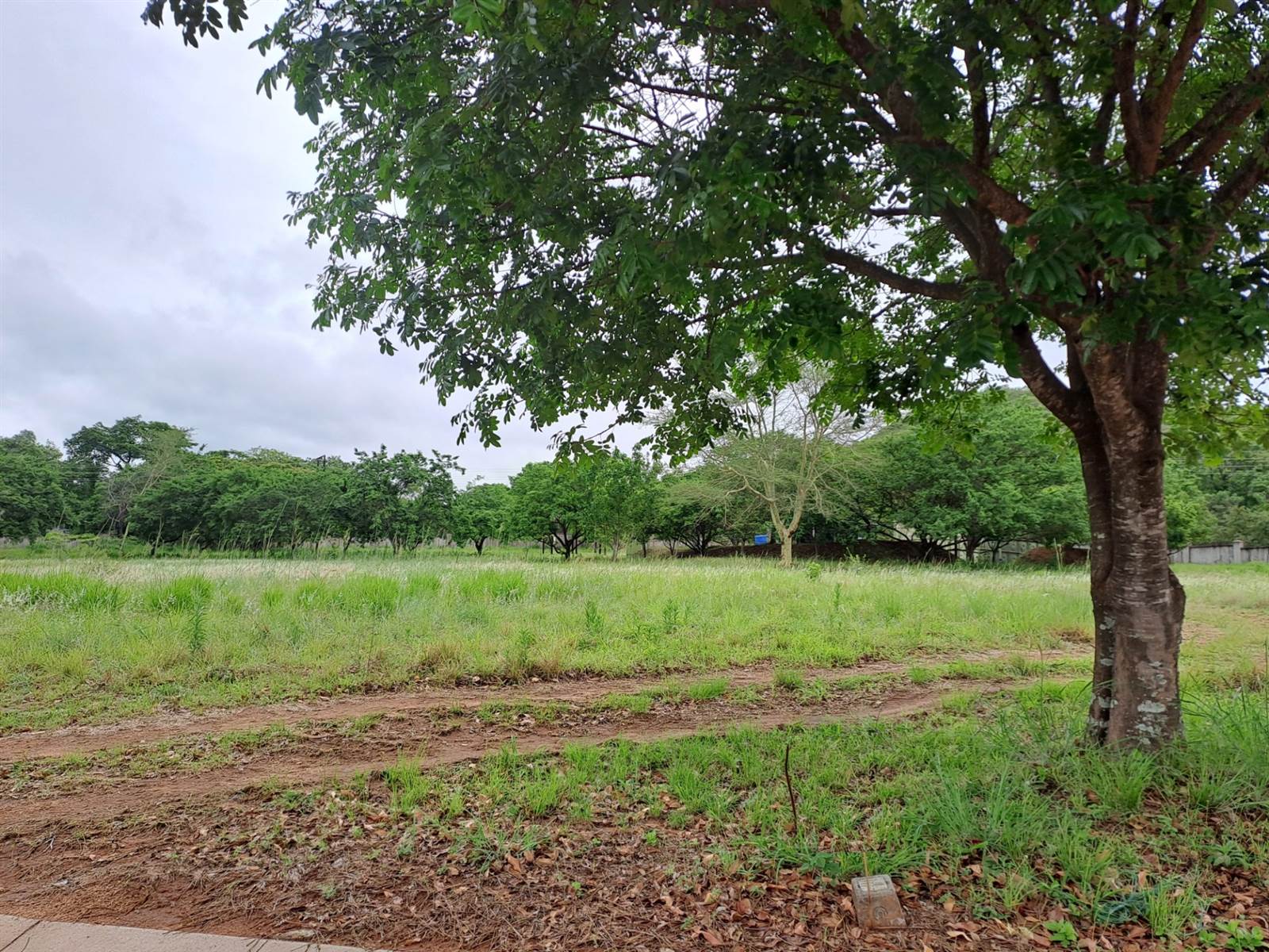 844 m² Land available in Hazyview photo number 5