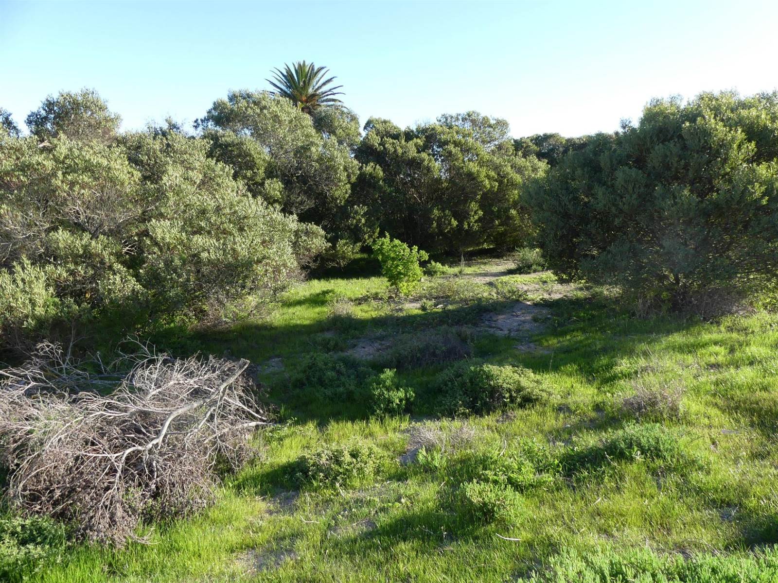 394 m² Land available in Shelley Point photo number 6