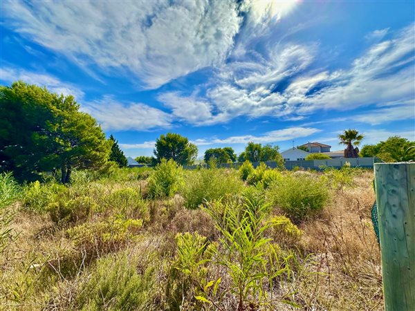 1338 m² Land available in Fisherhaven