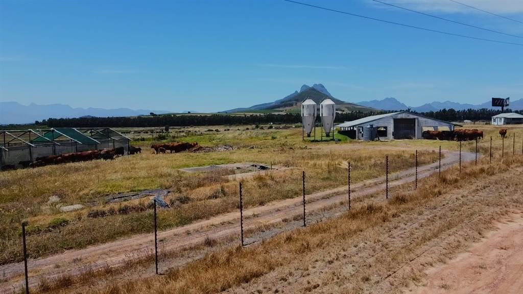 30 ha Farm in Stellenbosch Farms photo number 5