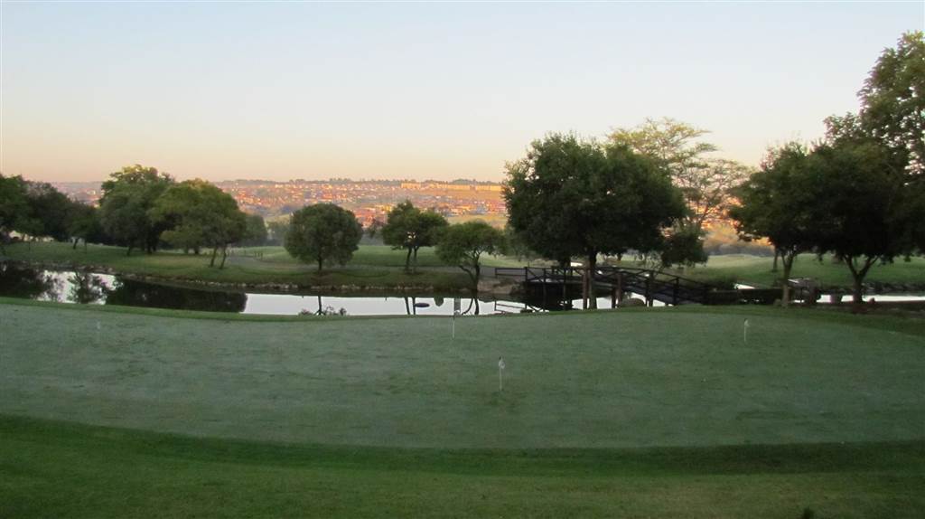 990 m² Land available in Blue Valley Golf Estate photo number 13