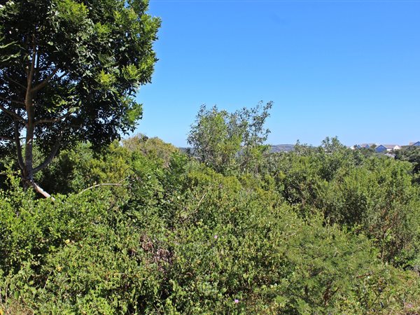 800 m² Land available in Seafield