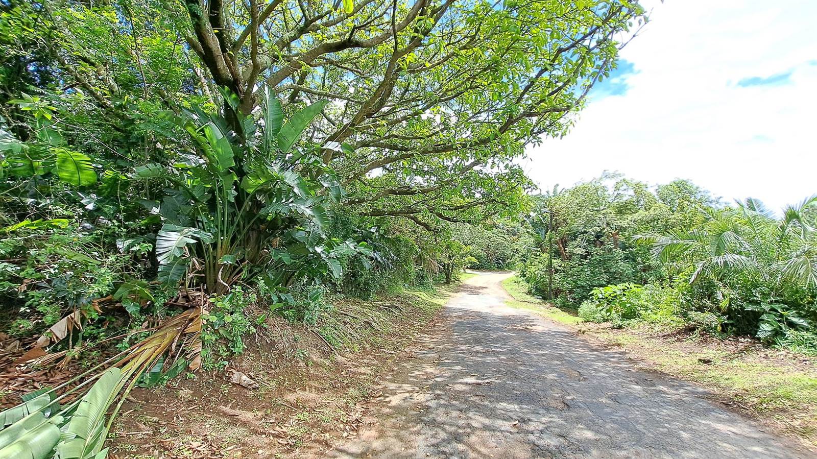 2264 m² Land available in Hibberdene photo number 9