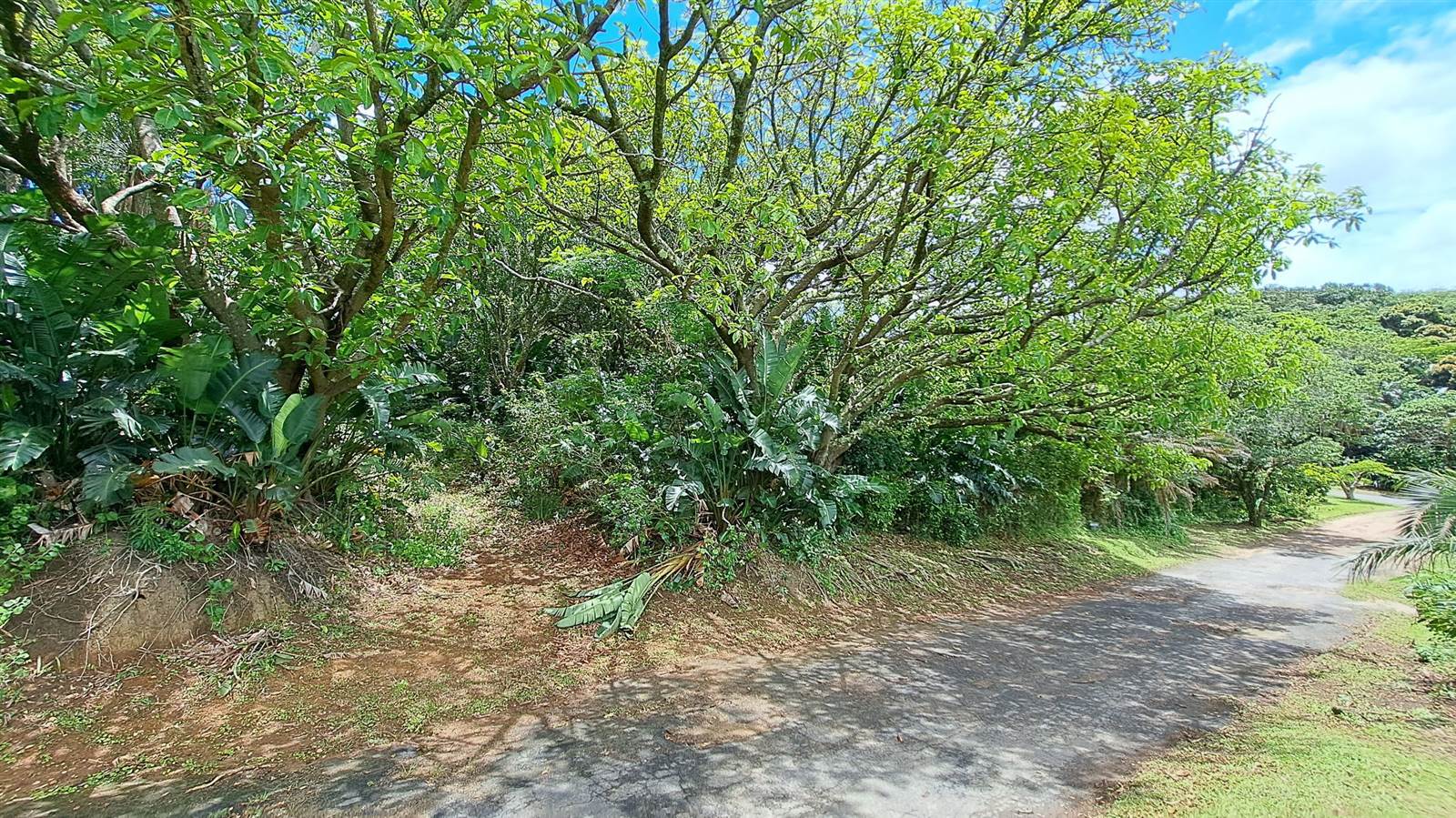 2264 m² Land available in Hibberdene photo number 8