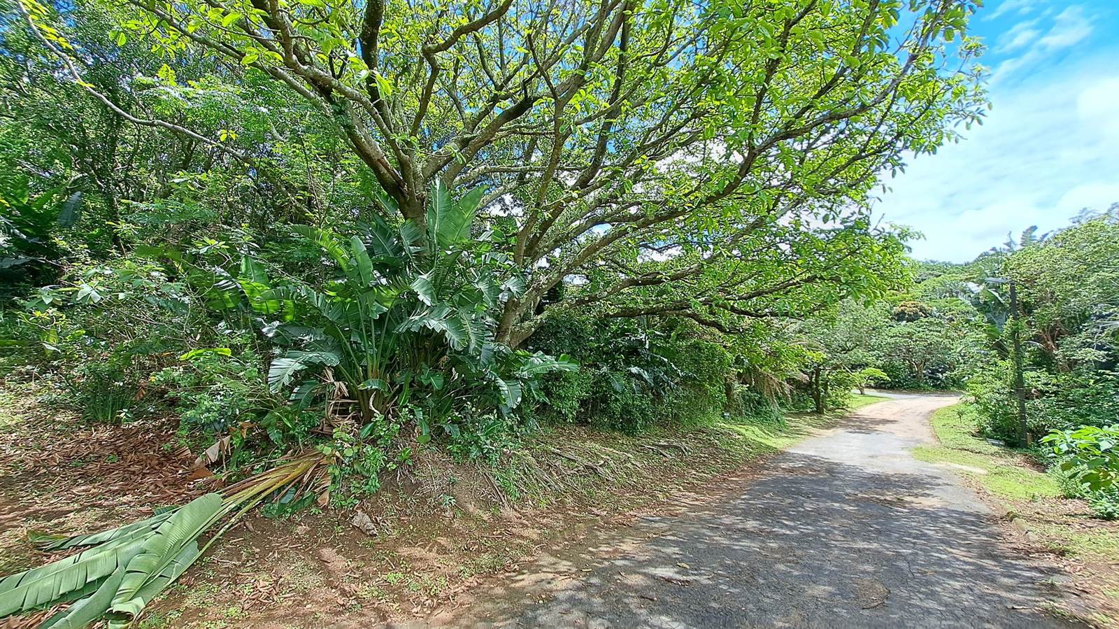 2264 m² Land available in Hibberdene photo number 3