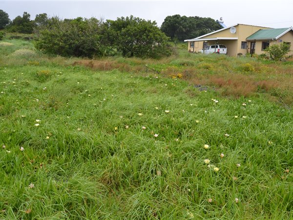 1076 m² Land available in Albertinia