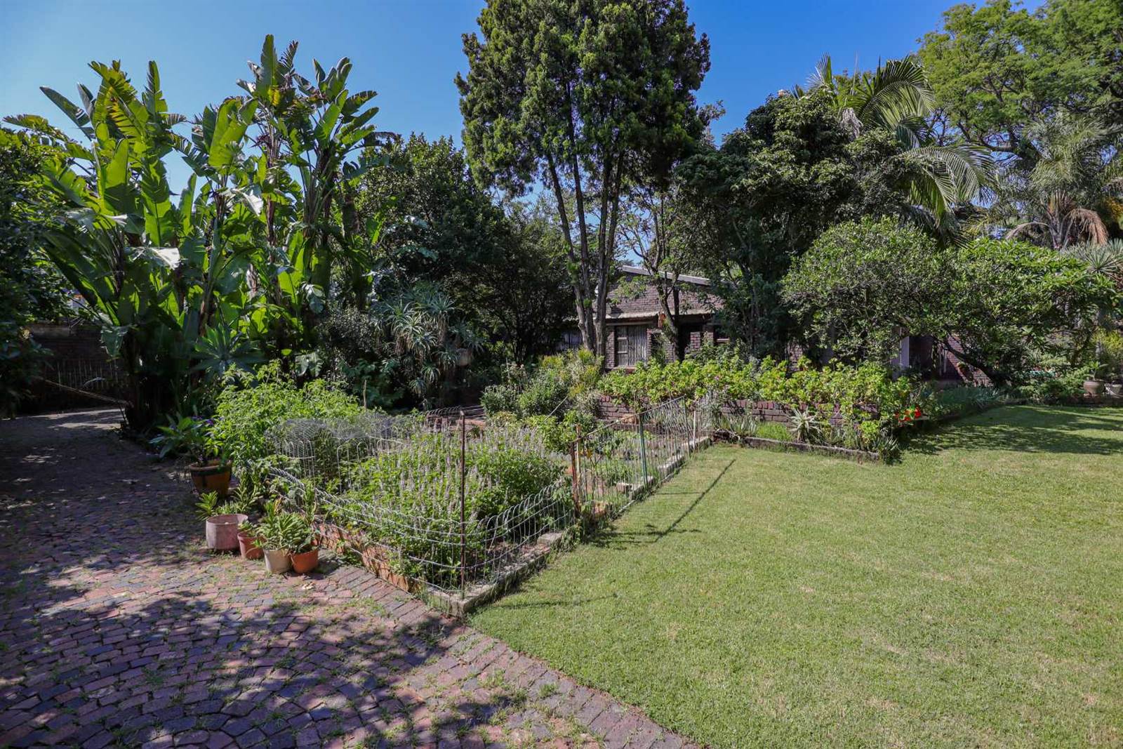 3000 m² Land available in Bryanston photo number 22