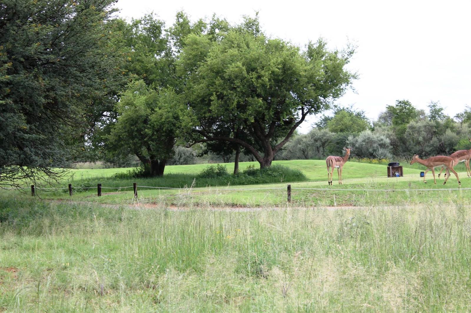 891 m² Land available in Parys photo number 1
