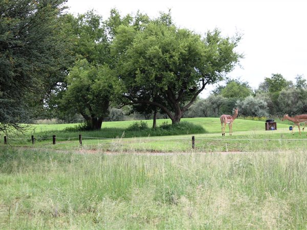 891 m² Land available in Parys