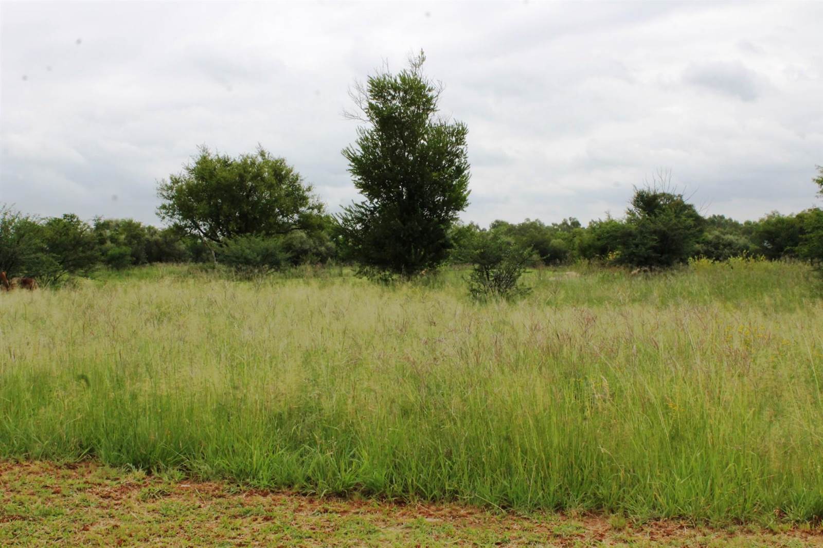 891 m² Land available in Parys photo number 6