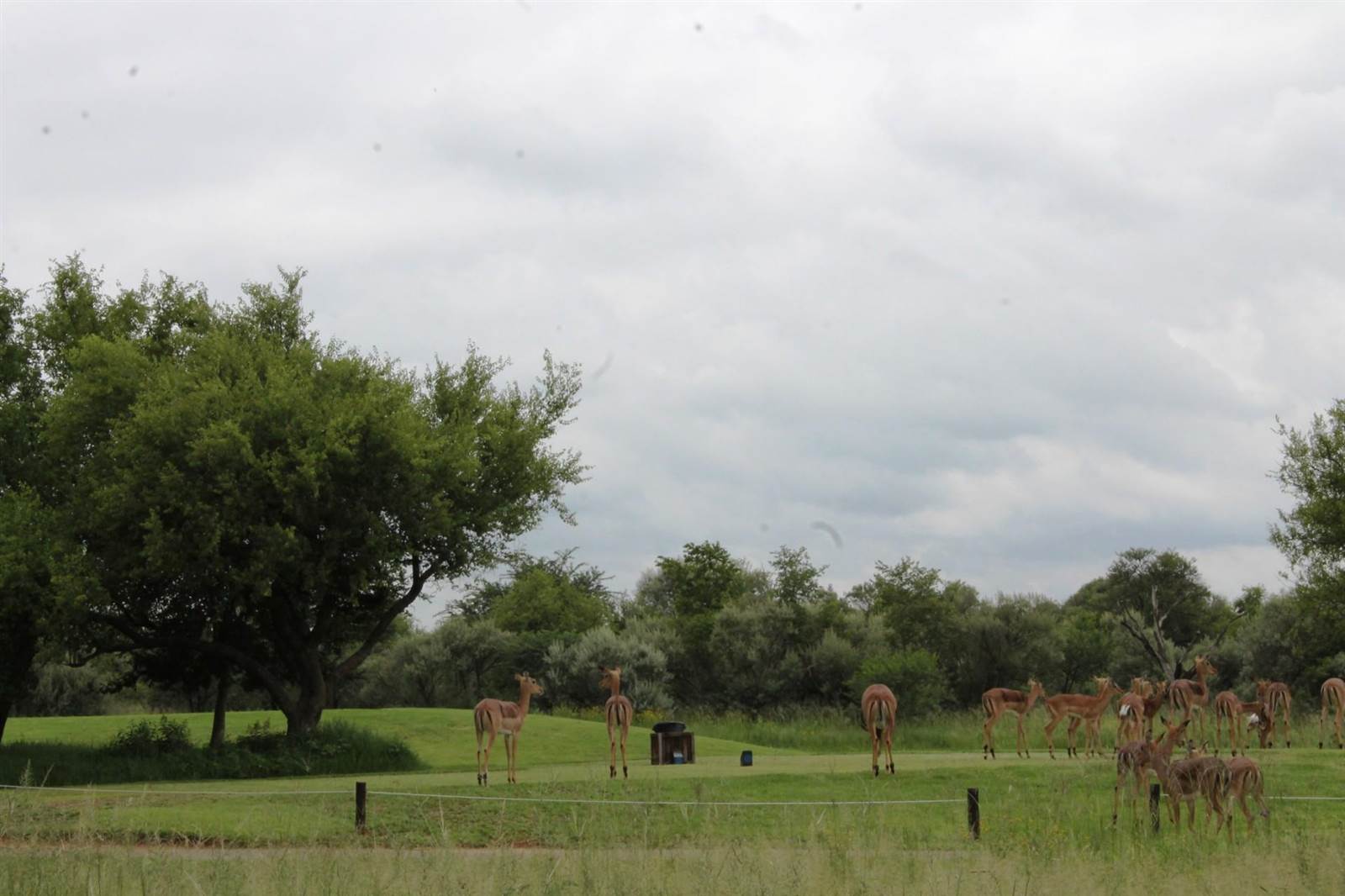 891 m² Land available in Parys photo number 10