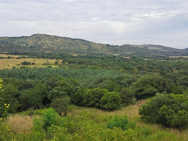 4 175 m² Land 4 175 m² Land