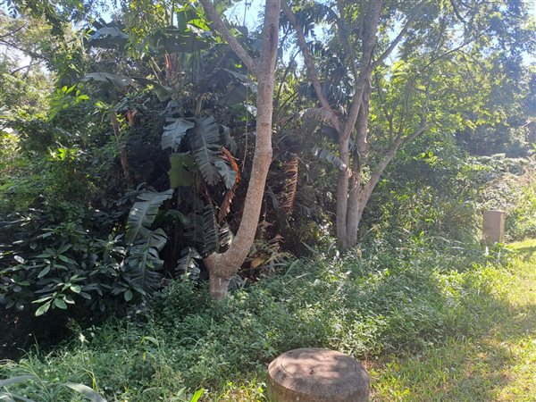 1 169 m² Land 1 169 m² Land
