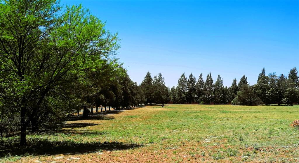 1 ha Land available in Blue Saddle Ranches photo number 1