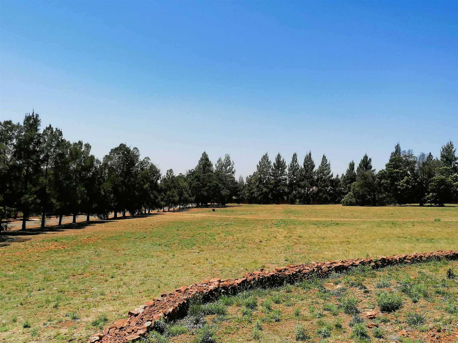 1 ha Land available in Blue Saddle Ranches photo number 2