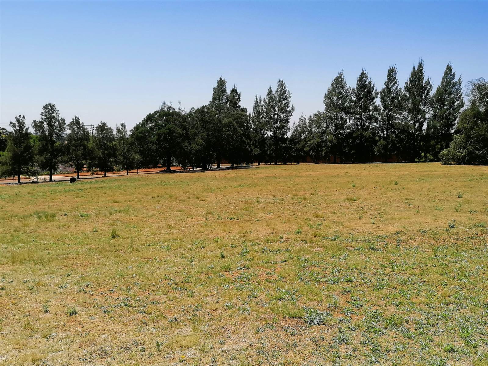 1 ha Land available in Blue Saddle Ranches photo number 9